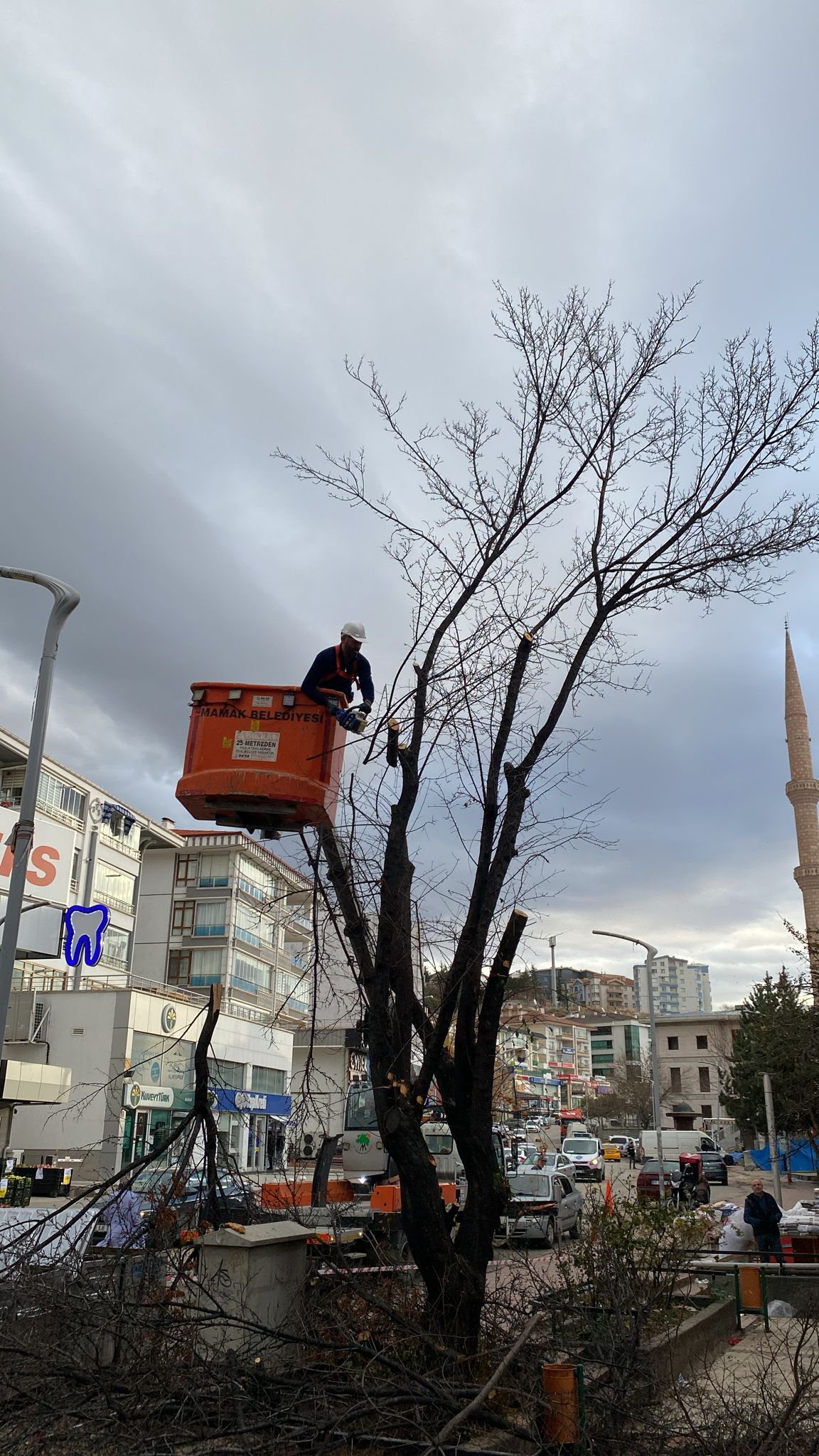 Mamak’ta Ağaçlara Kış Bakımı Başladı (2)