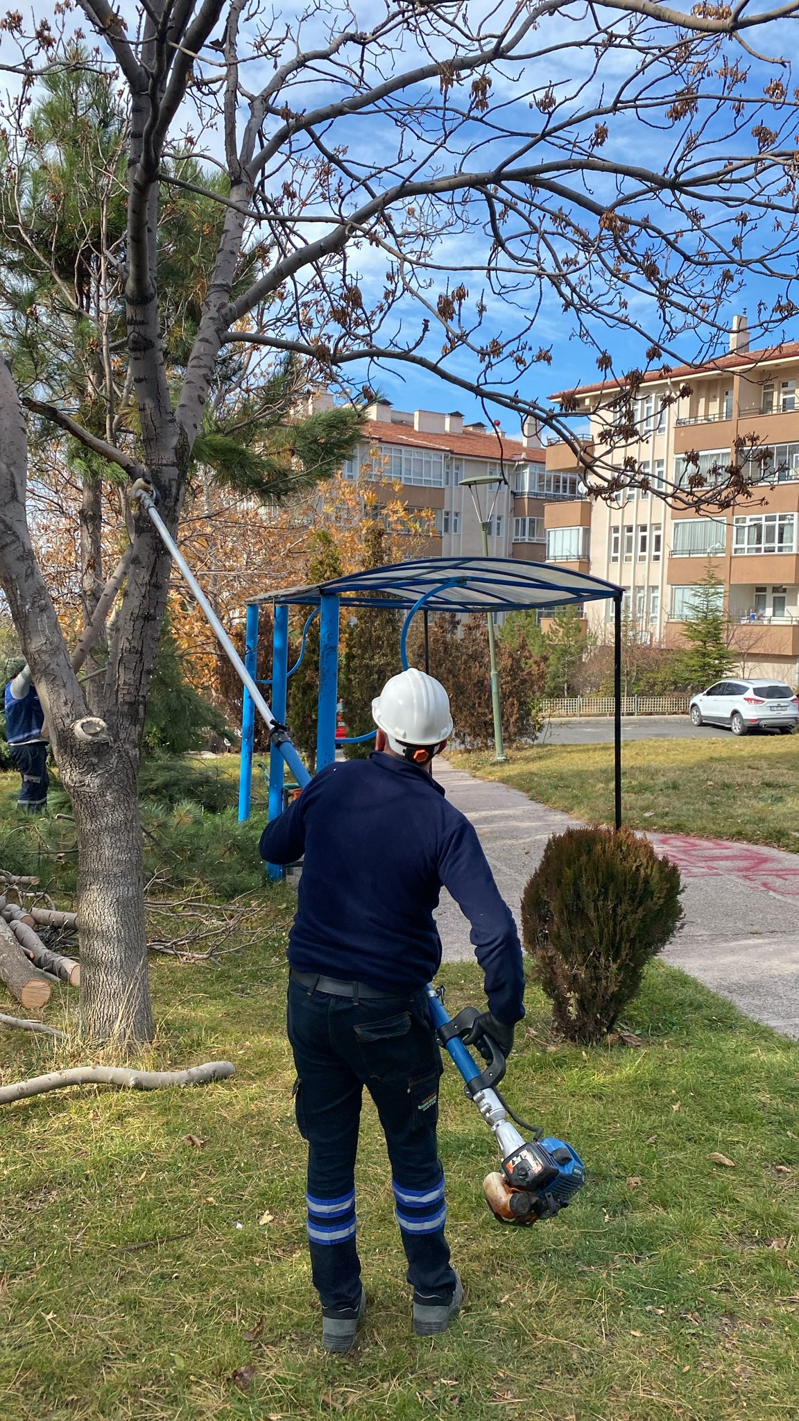 Mamak’ta Ağaçlara Kış Bakımı Başladı (3)