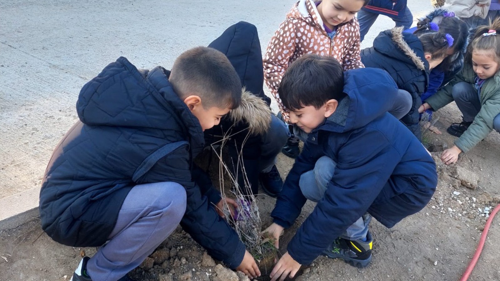 Mamak’ta Çocuklar, Doğa Ile Buluştu (2)