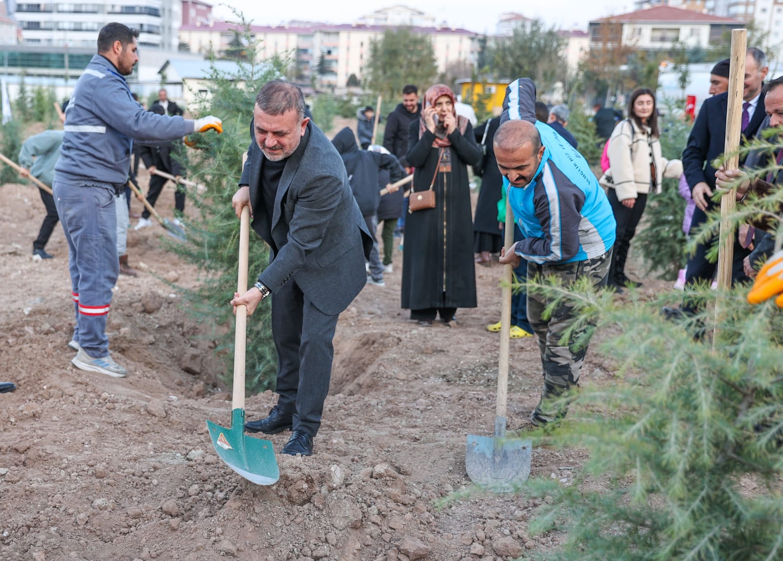 Sincan’da 536 Ağaç Toprakla Buluştu (1)