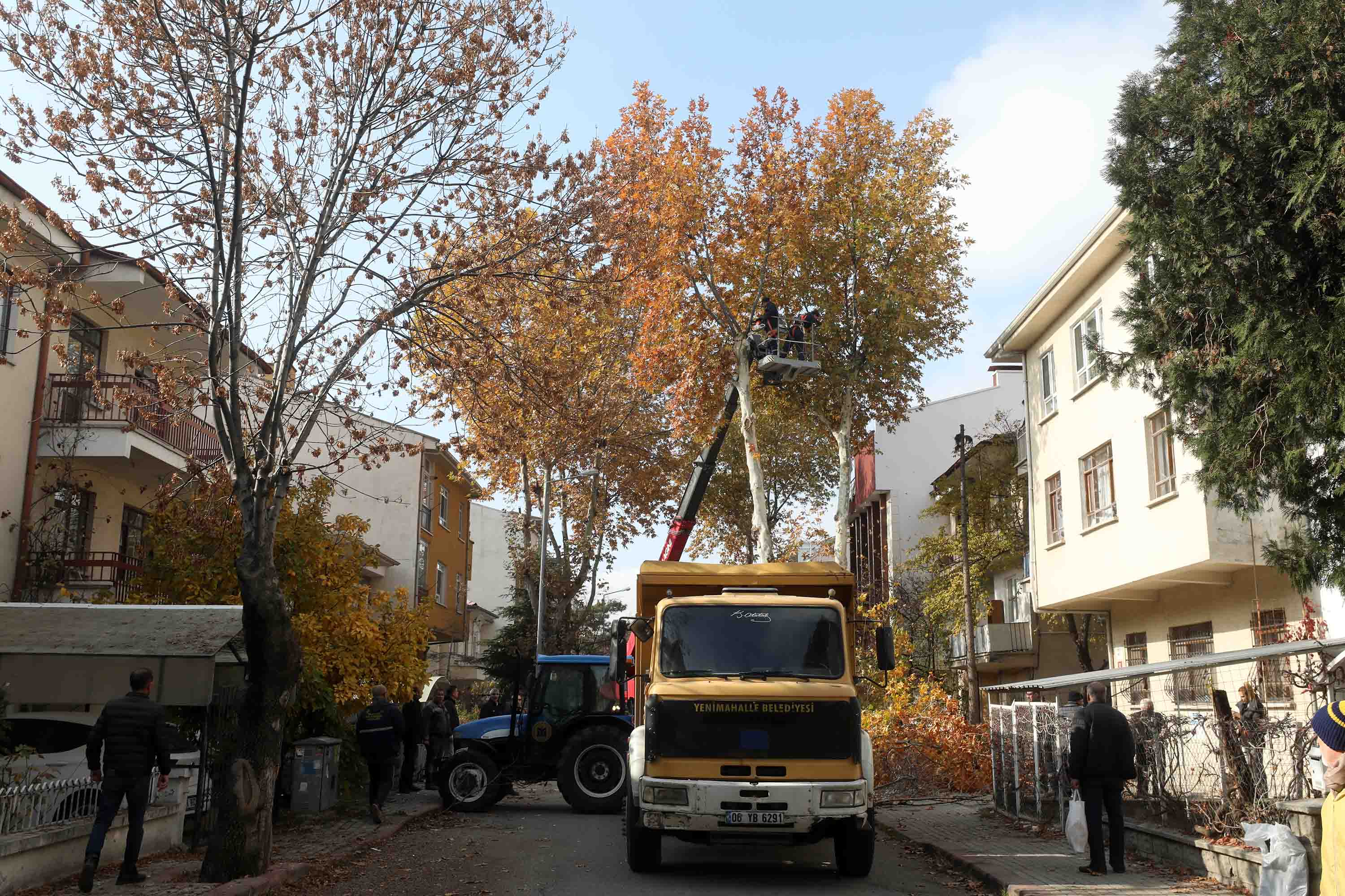 Yenimahalle’de Ağaçlardan Geri Dönüşüm (2)