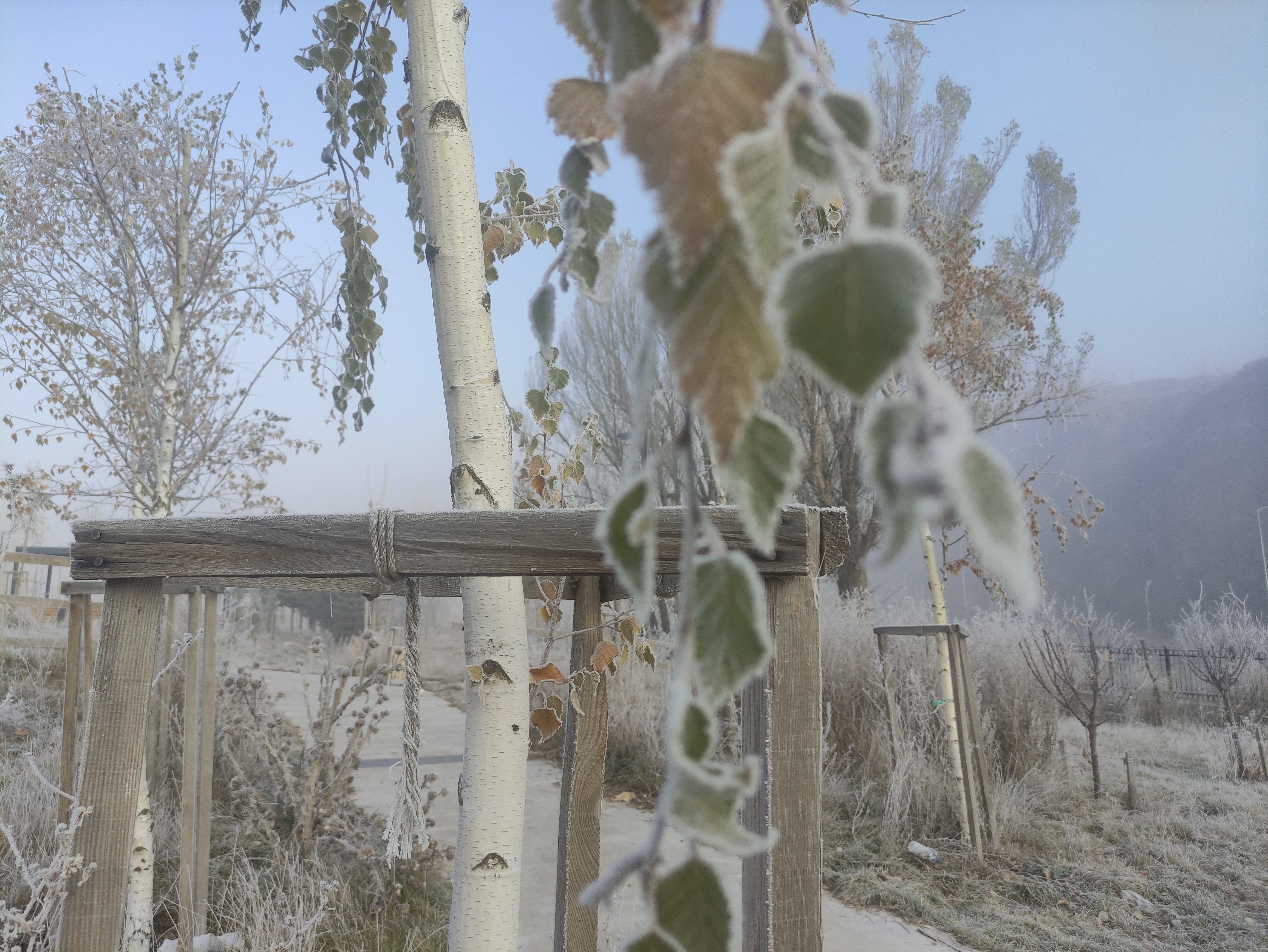 Ardahan Sibirya Soğukları (1)