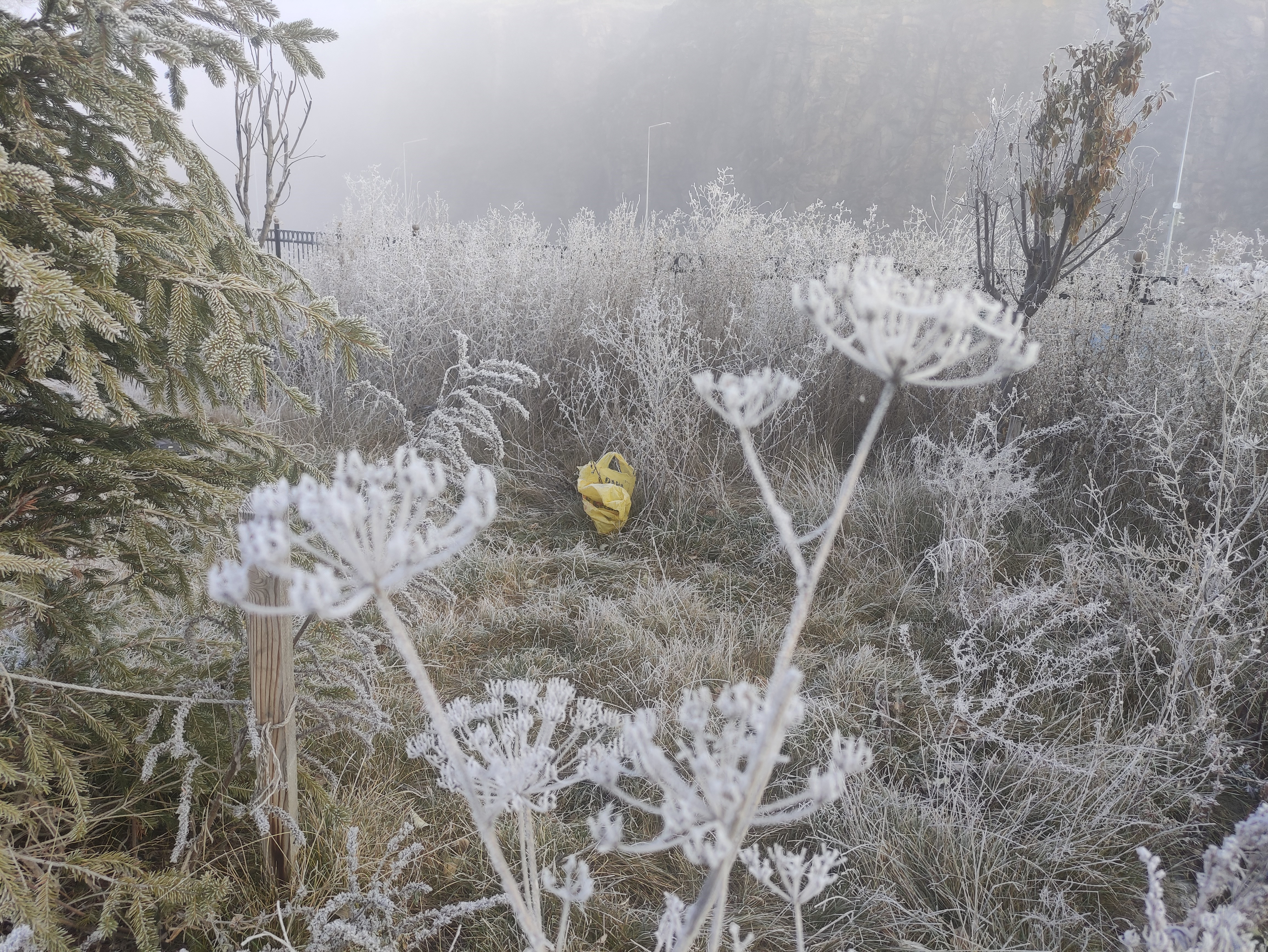 Ardahan Sibirya Soğukları (3)