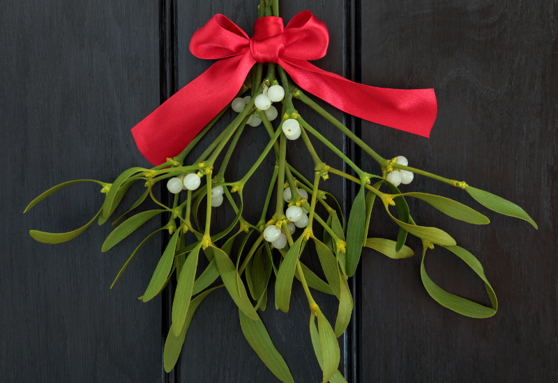 Blog Post Headers 2 Dec 03 2021 02 48 55 61 Pm