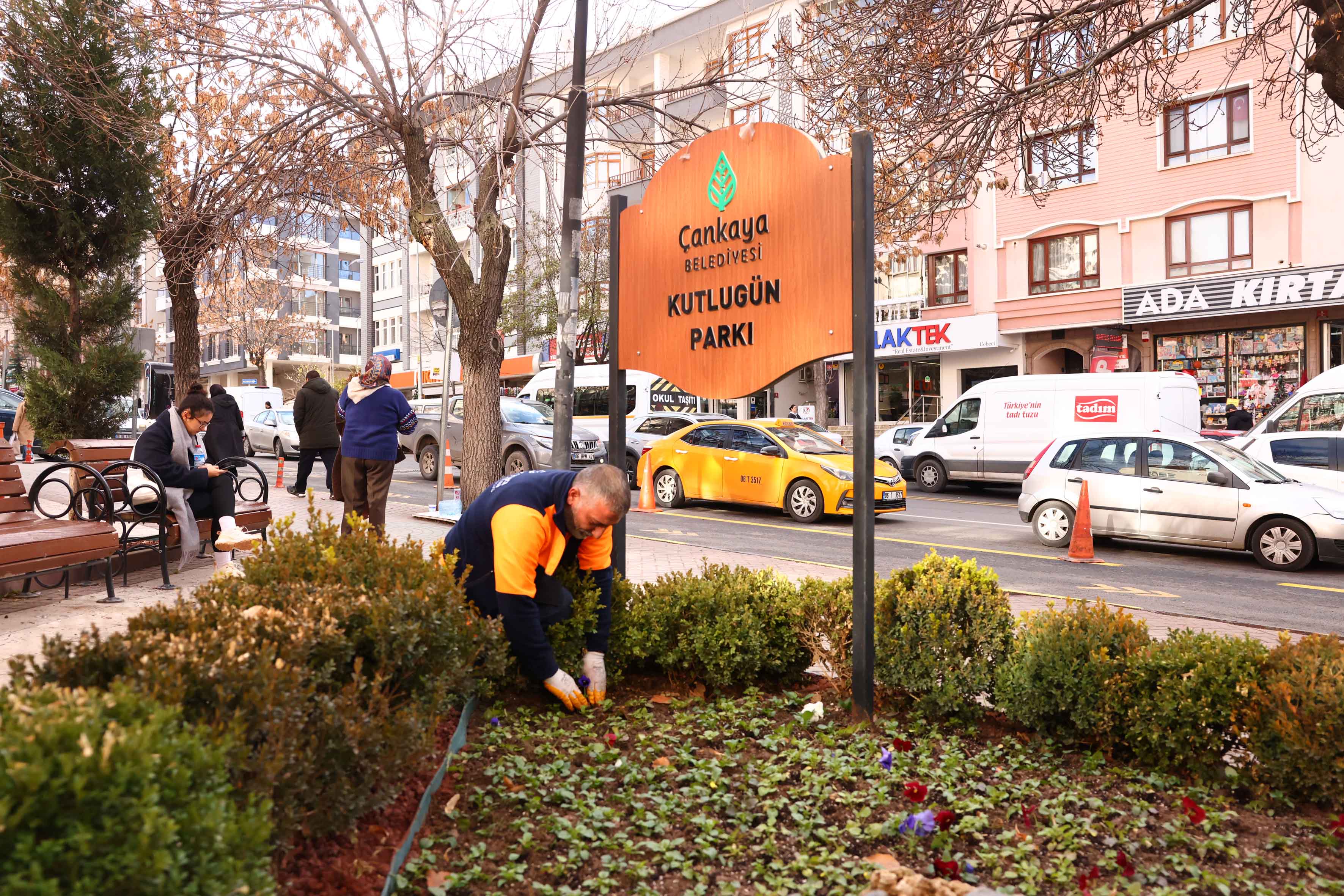 Çankaya Parkları İçin Kışlık Çiçekler (6)