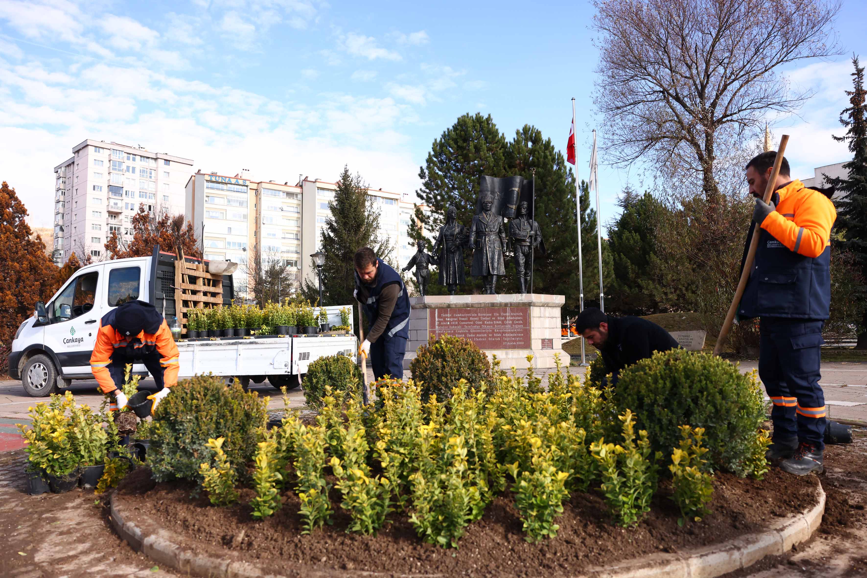 Çankaya Parkları İçin Kışlık Çiçekler (7)