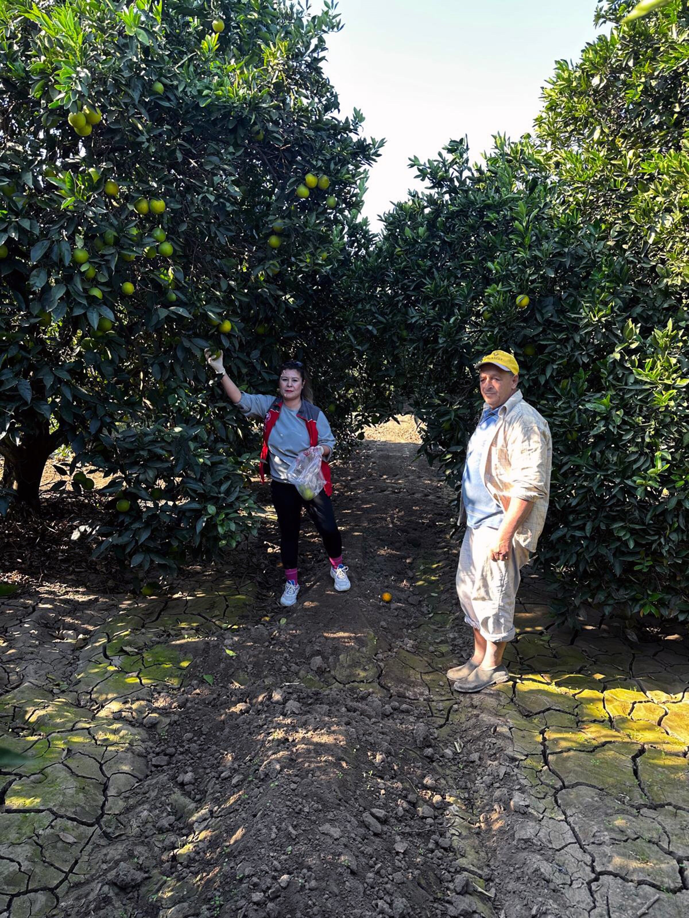 Güvenilir Gıda (2)