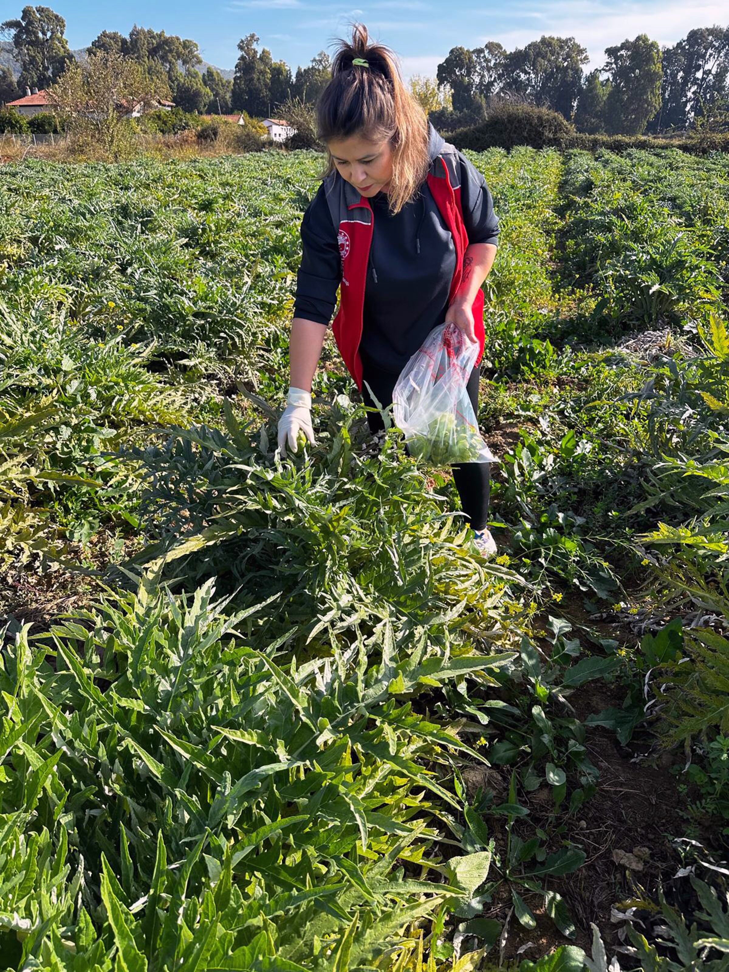Güvenilir Gıda (3)