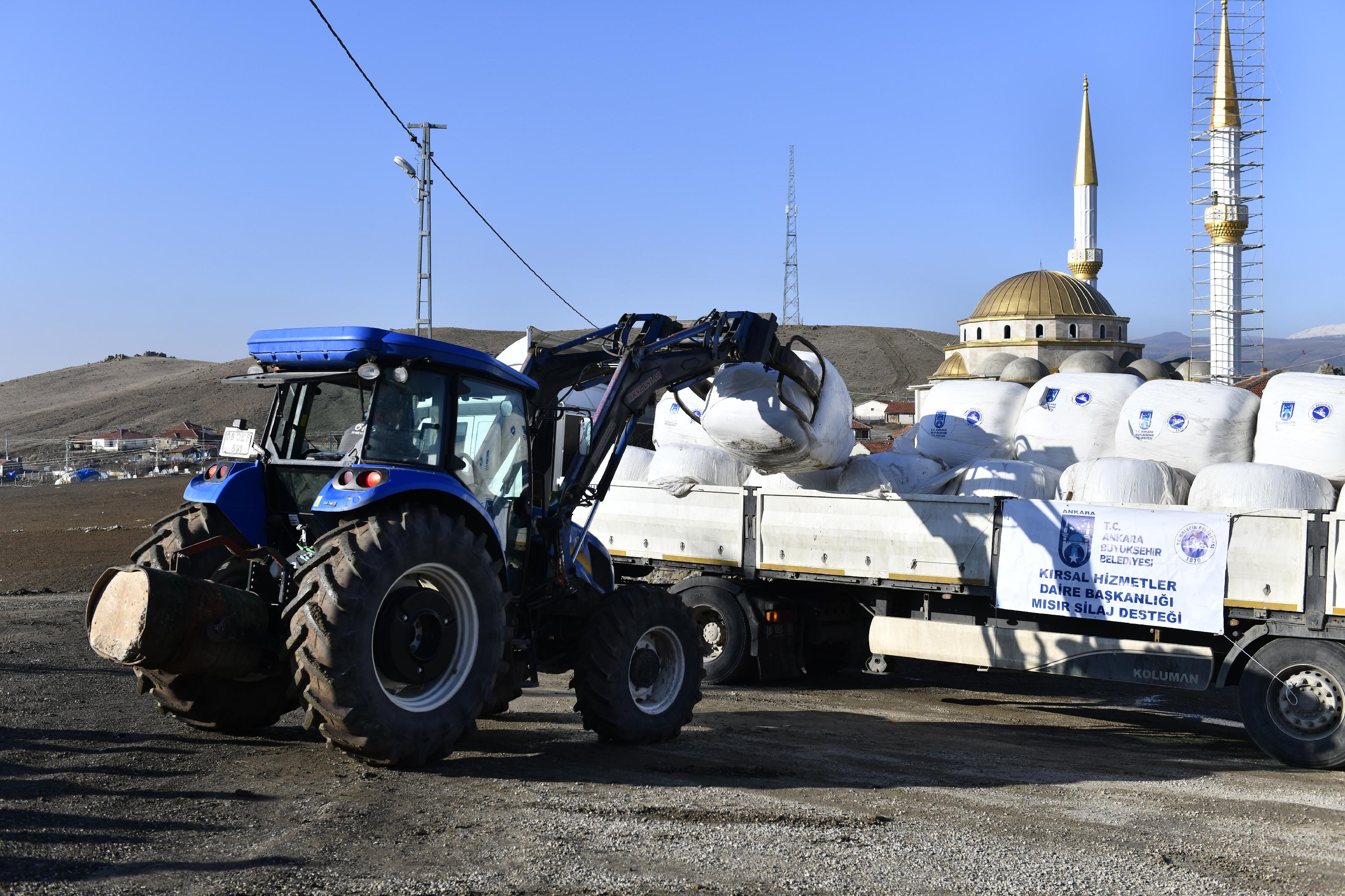 Mısır Kalecik'te Filizlenecek (3)