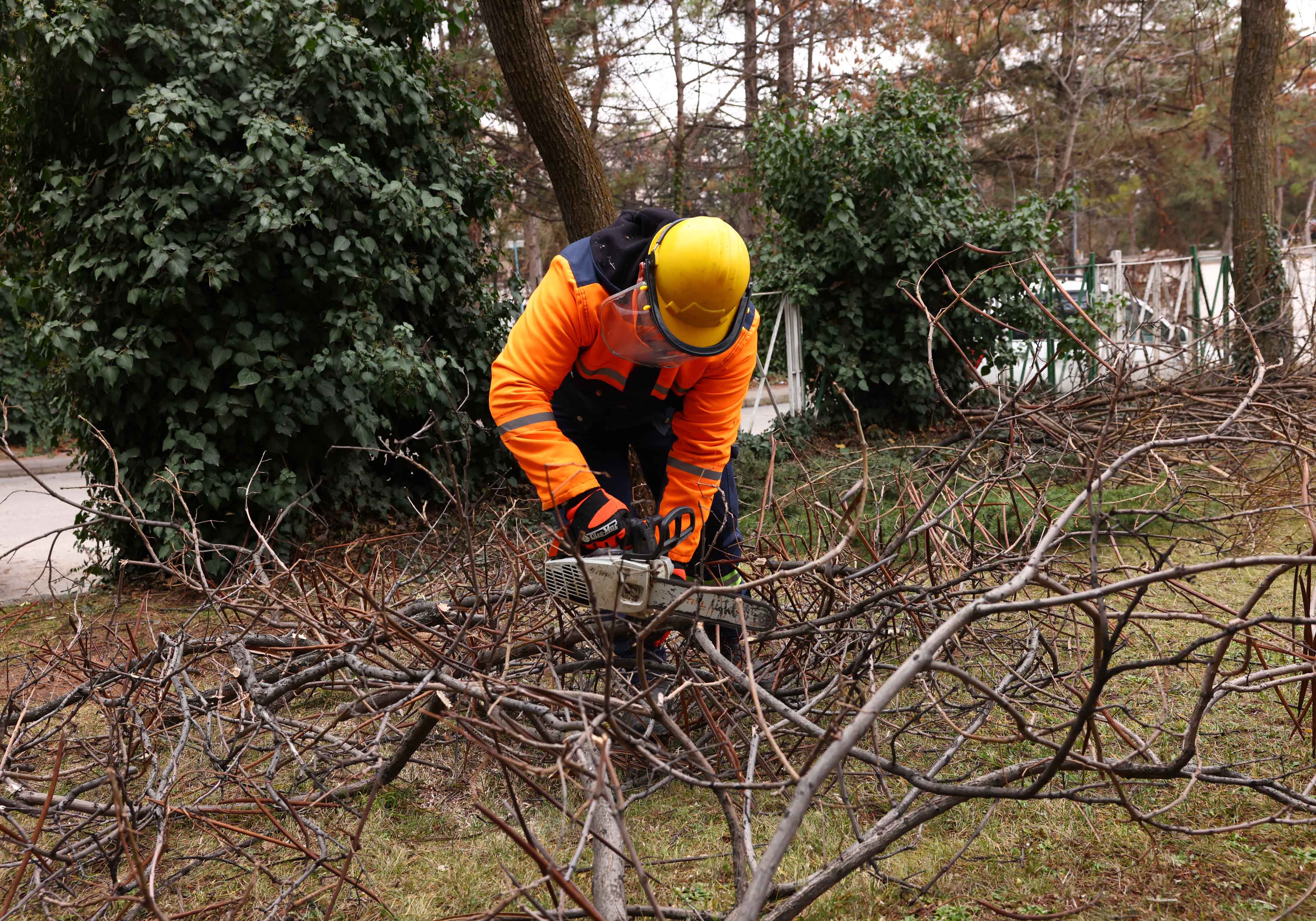 2024 12 30 Park Bahçeler Yüzüncü Yıl Arif Çakır Parkı Ağaç Budama (2)