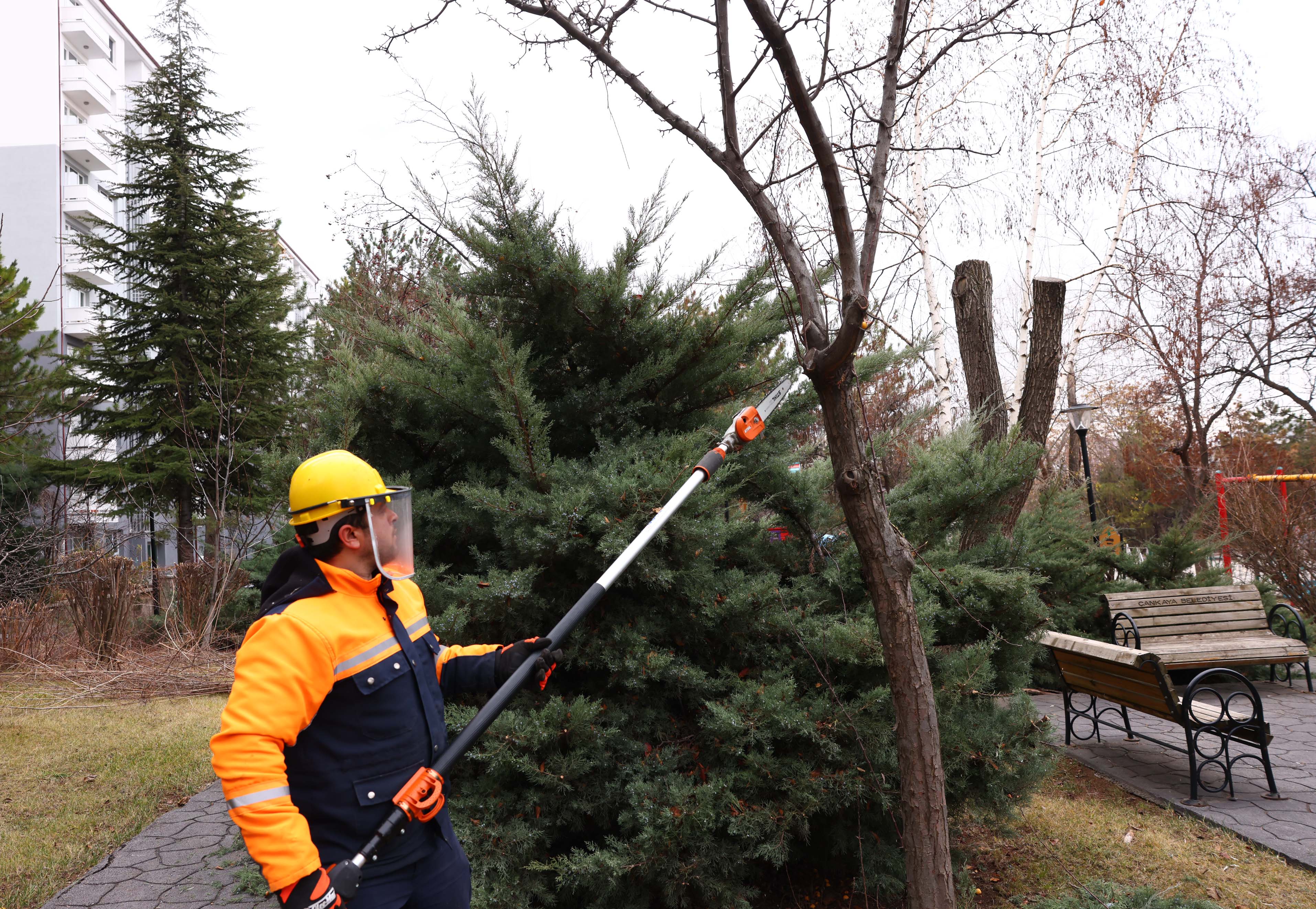 2024 12 30 Park Bahçeler Yüzüncü Yıl Arif Çakır Parkı Ağaç Budama (3)