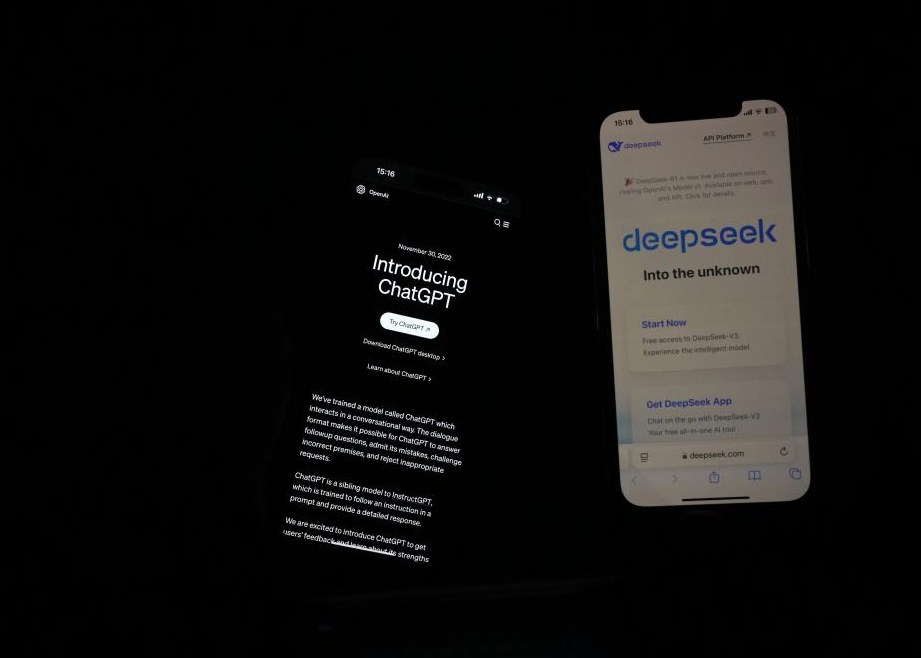 deepseeksıon-1