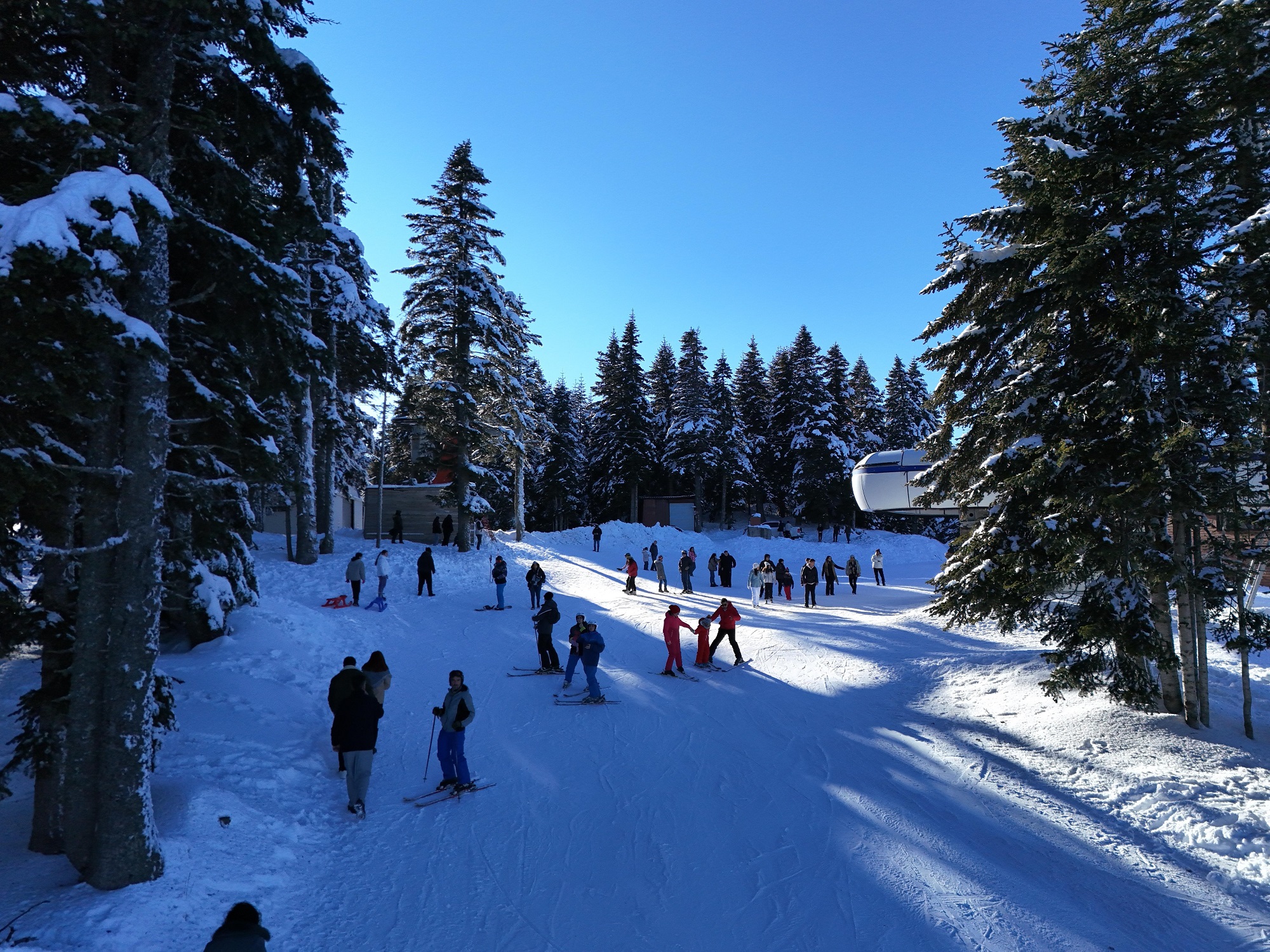 Ilgaz (5)