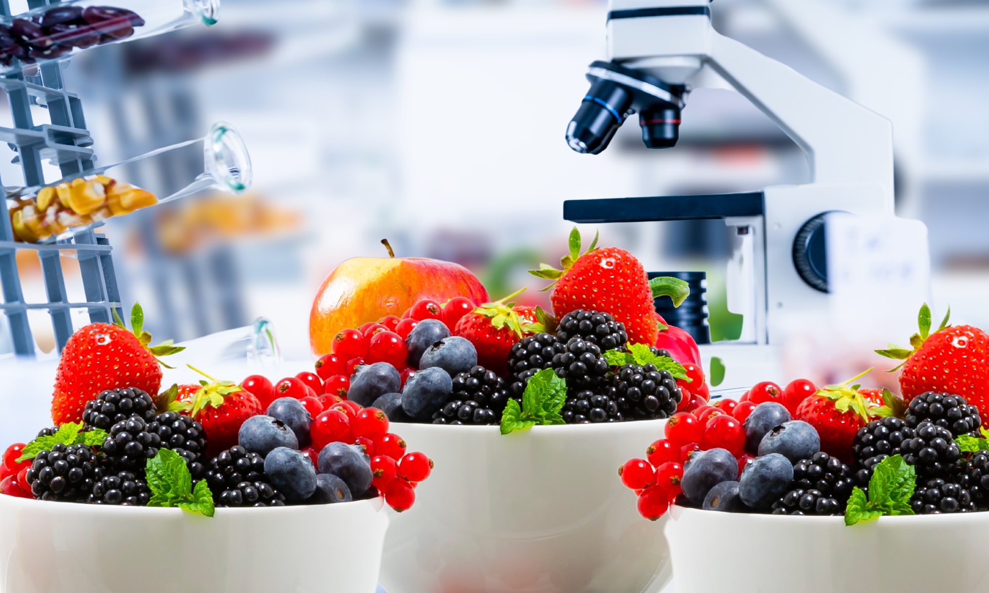 Sağlıklı Beslenme (2)