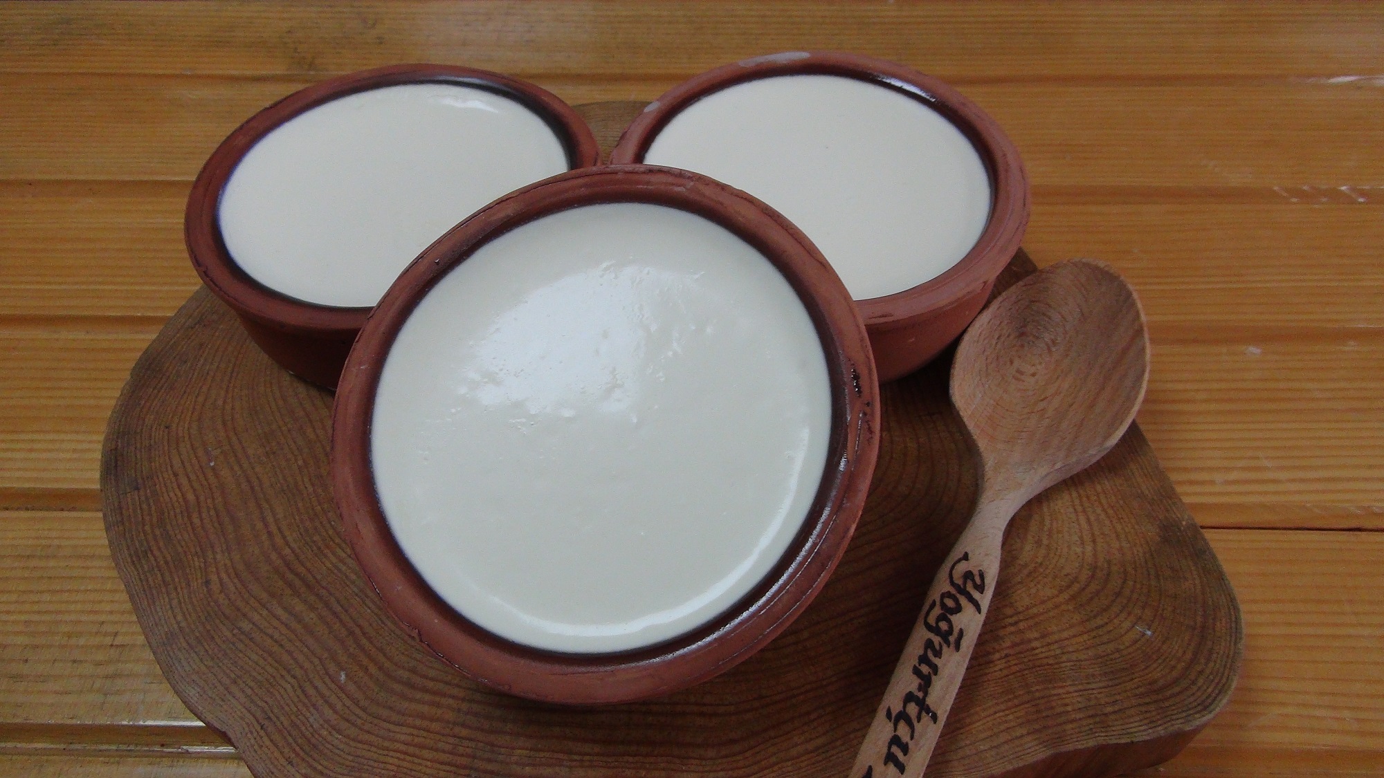 Silifke Yoğurdu (3)