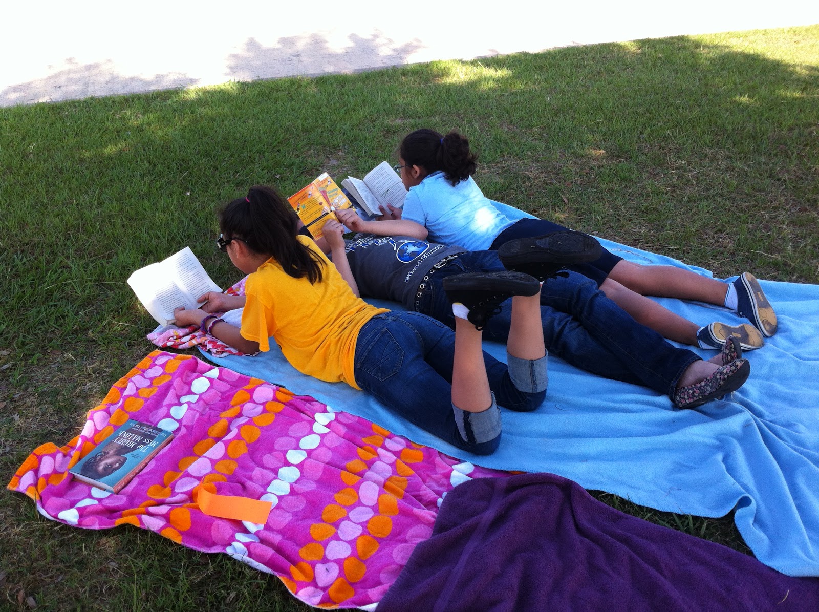 Açık Alanda Uyuma Günü (1)