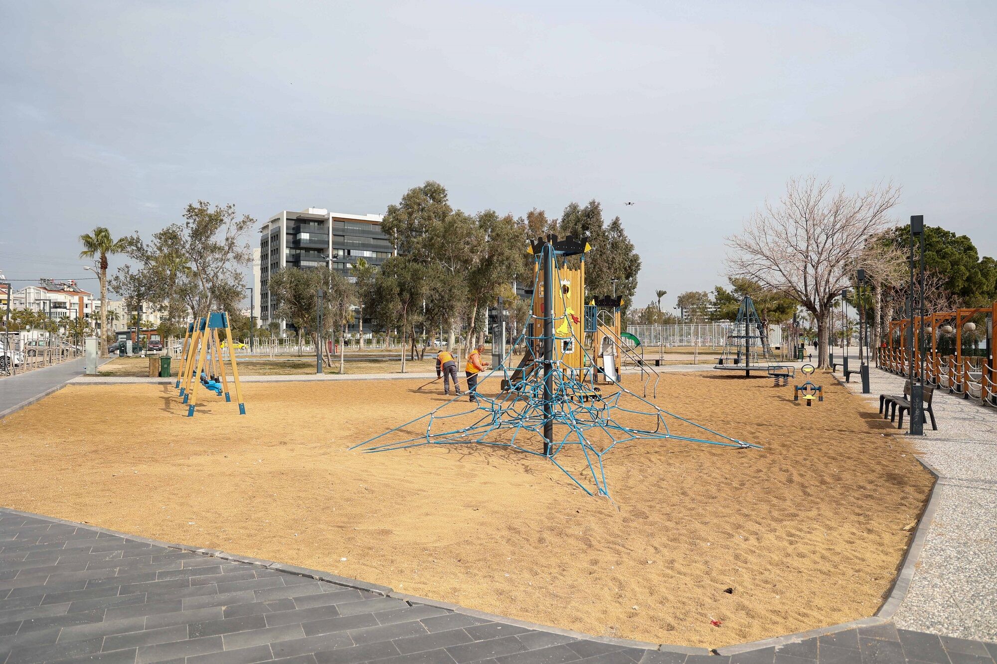 Antalya Zeytin Çekirdeği (2)