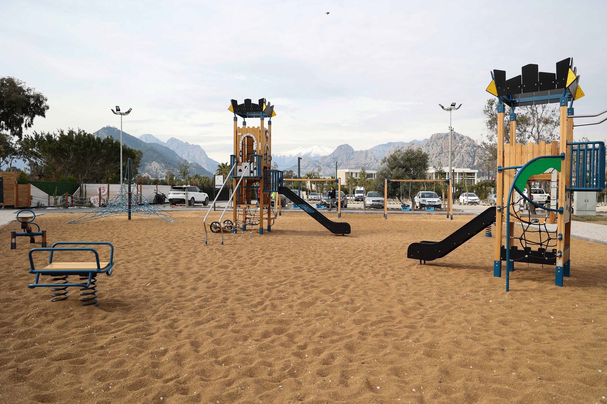 Antalya Zeytin Çekirdeği (4)