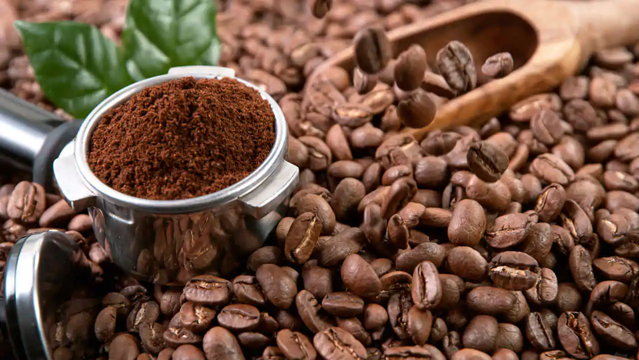 Arabica Kahveleri (1)-1