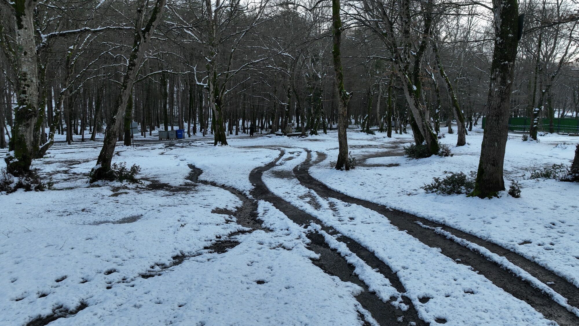 Belgrad Ormanı (1)