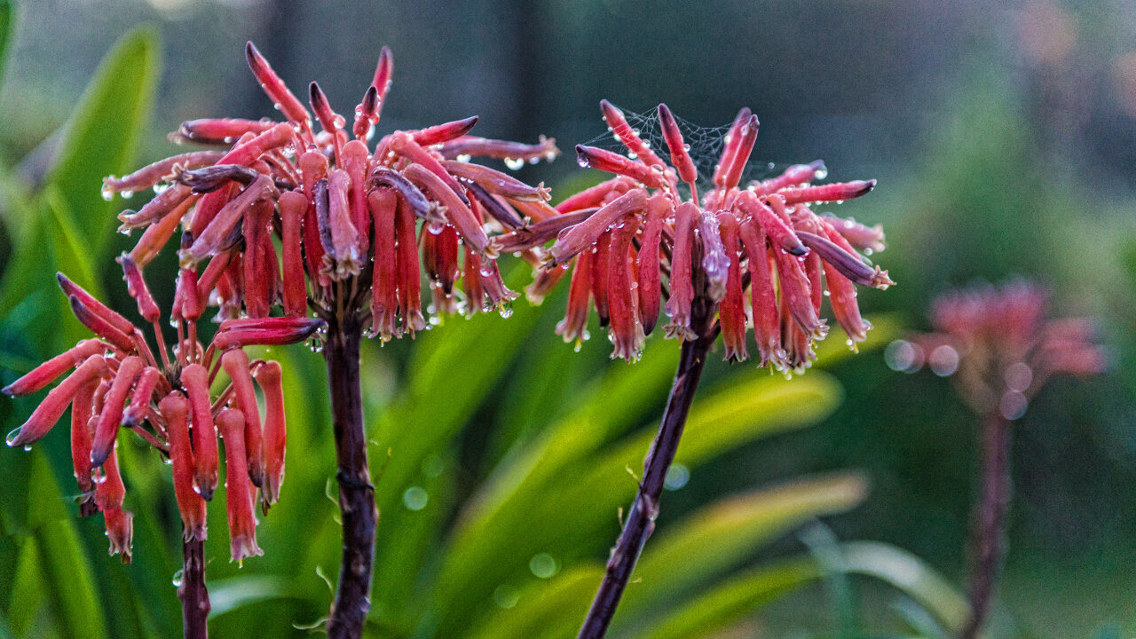 Cemre Ne Zaman Düşüyor 4