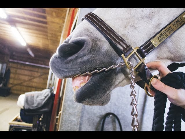 Gemi Azıya Almak (2)-1