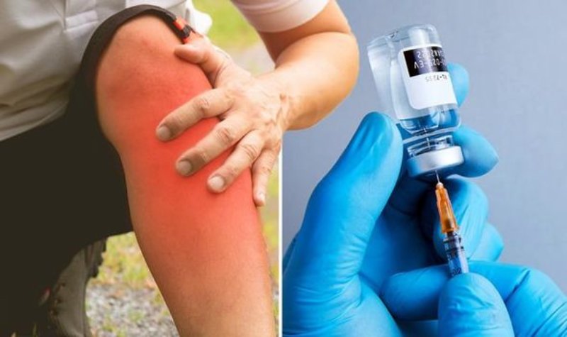 Kapiller Kacis Senderomu2