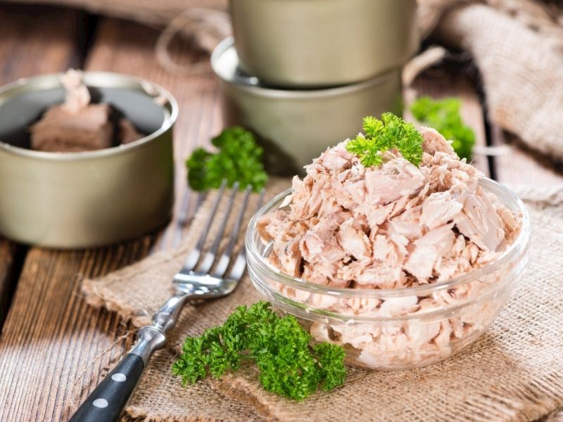 Konserve Ton Balığı2