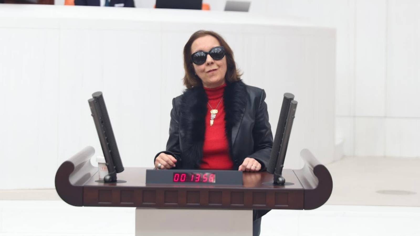 Serap Yazıcı Özbudun (1)-1