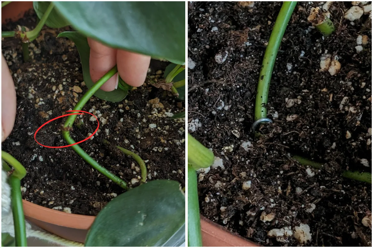 Toprağa Saç Tokası Gömmek (3)