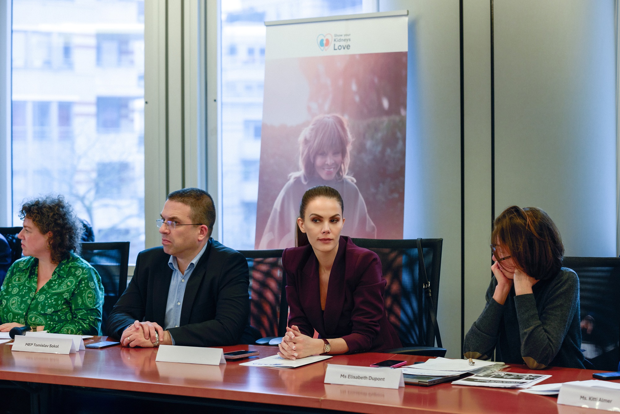 Tülin Şahin, Avrupa Parlamentosu (1)-3