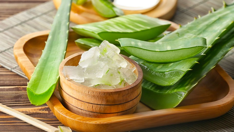 Aloe Vera2