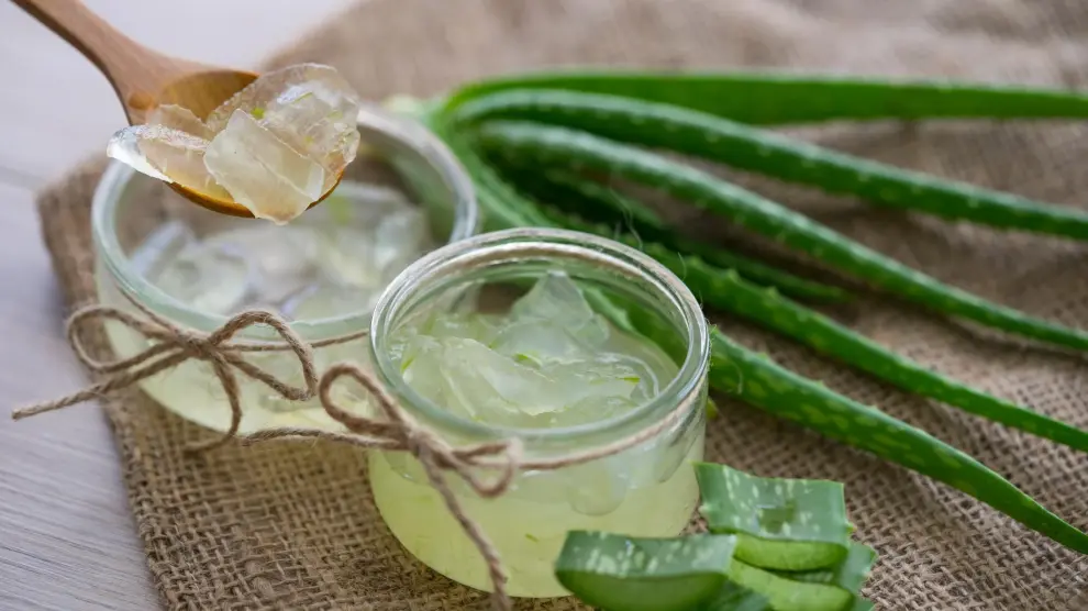 Aloe Vera3