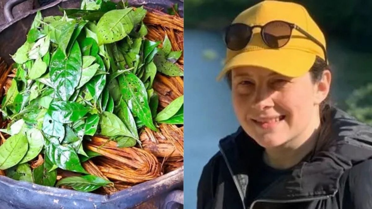 Ayahuasca Nedir Ve Ne Işe Yarar