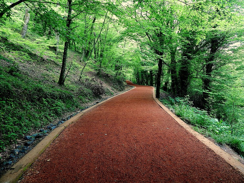 Belgrad Ormanı (9)