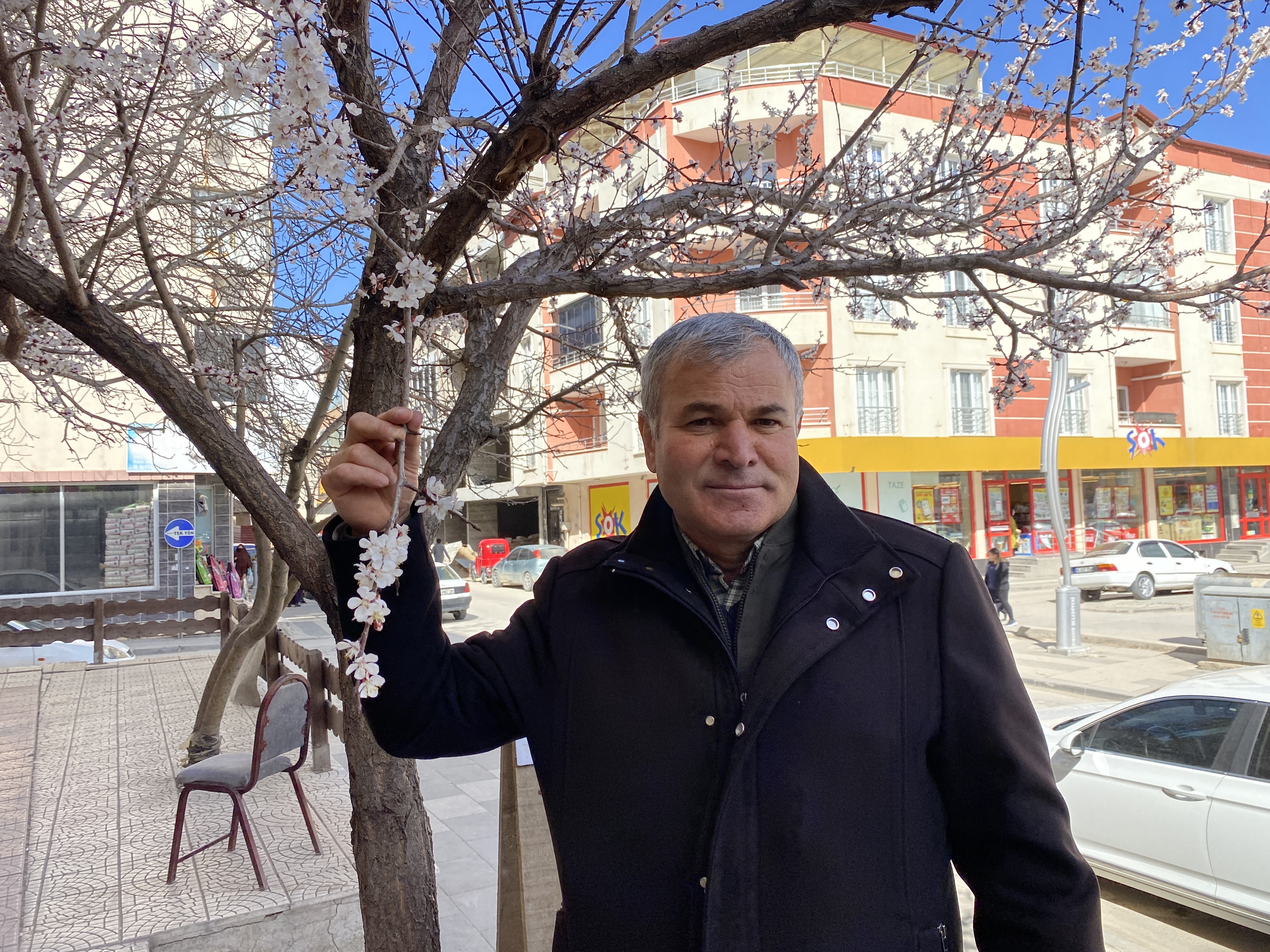 Kayısı Çiçek (2)