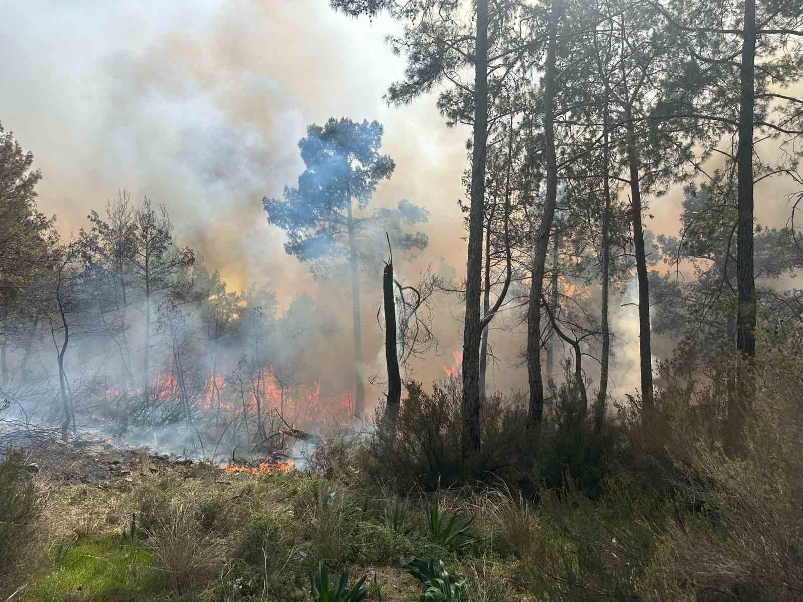 Kemer Orman Yangını2