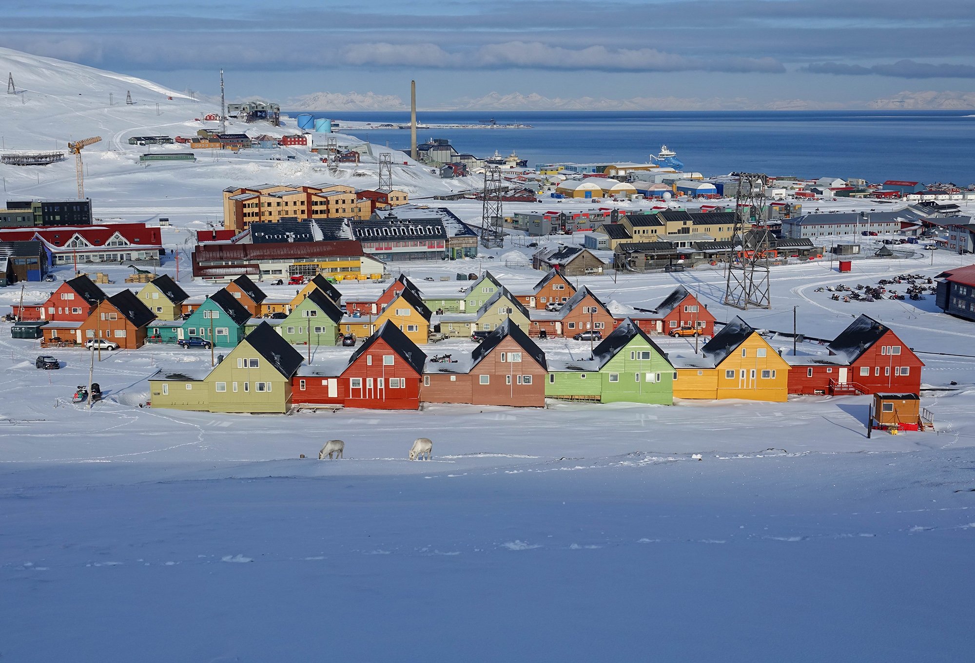 Svalbard Norveç (2)