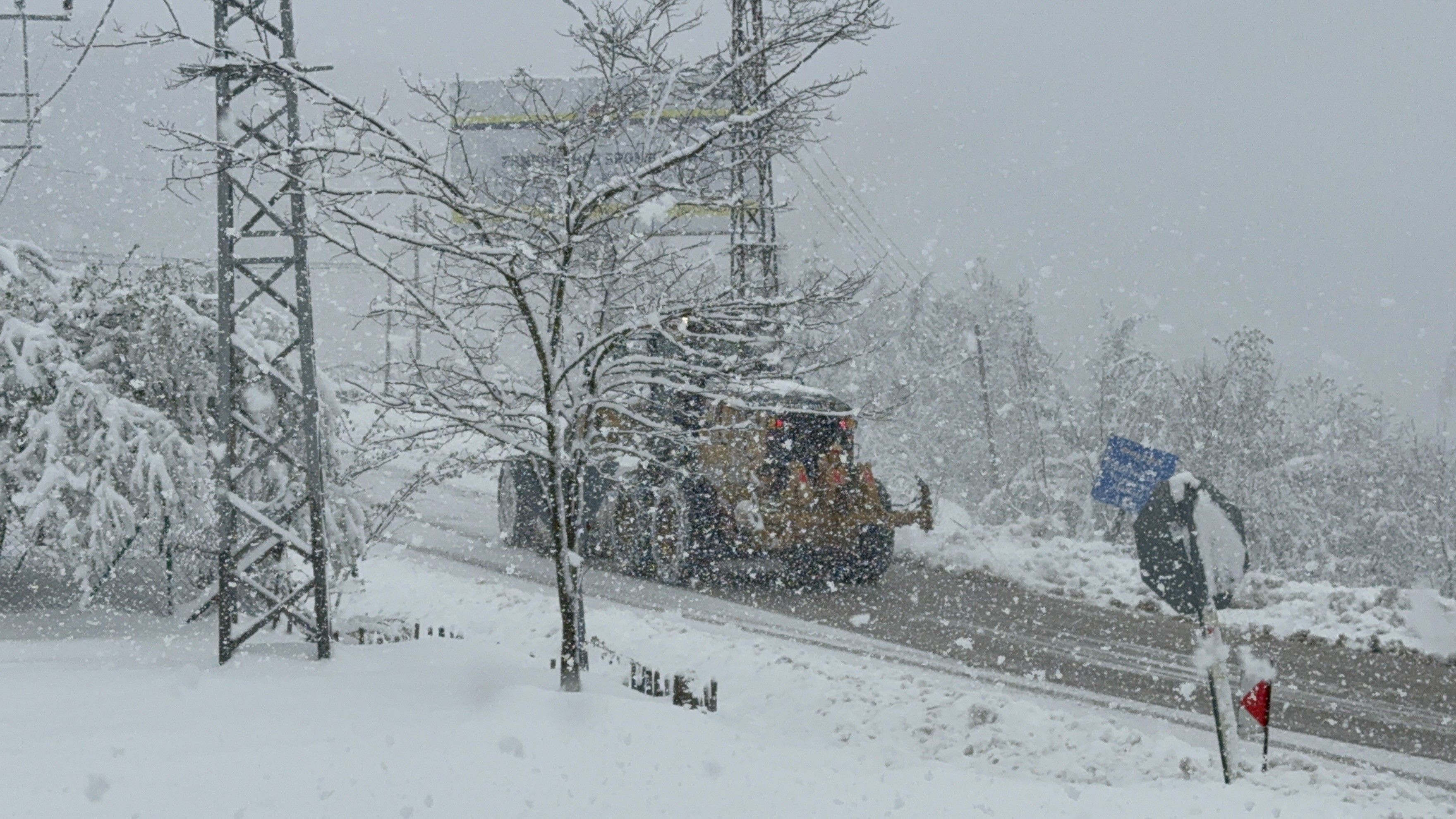 Bolu Kar (1)-1