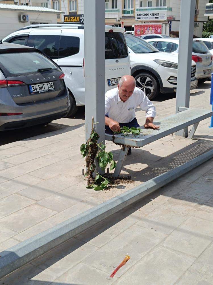 Arılar 2