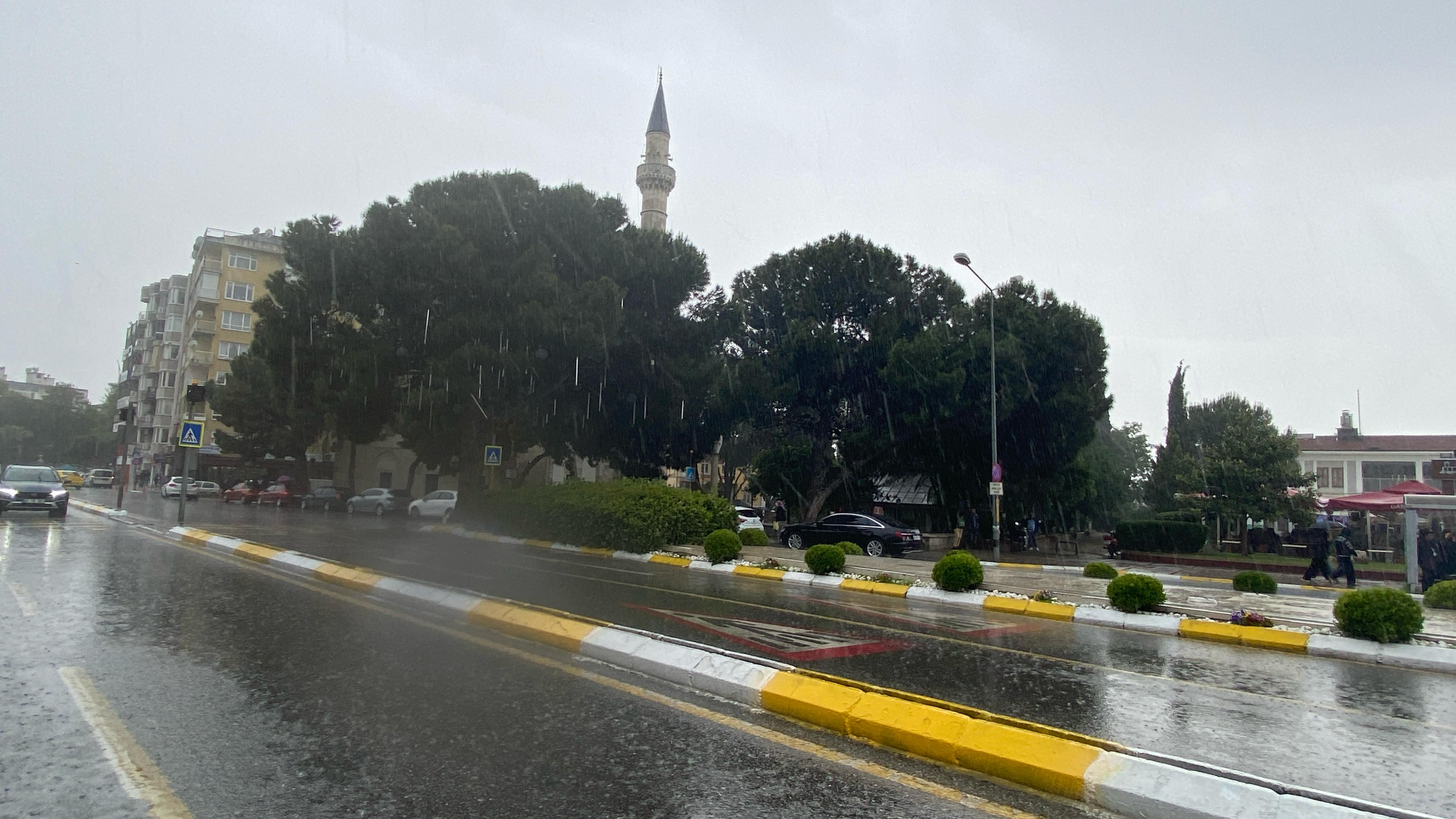 Aydın (18)