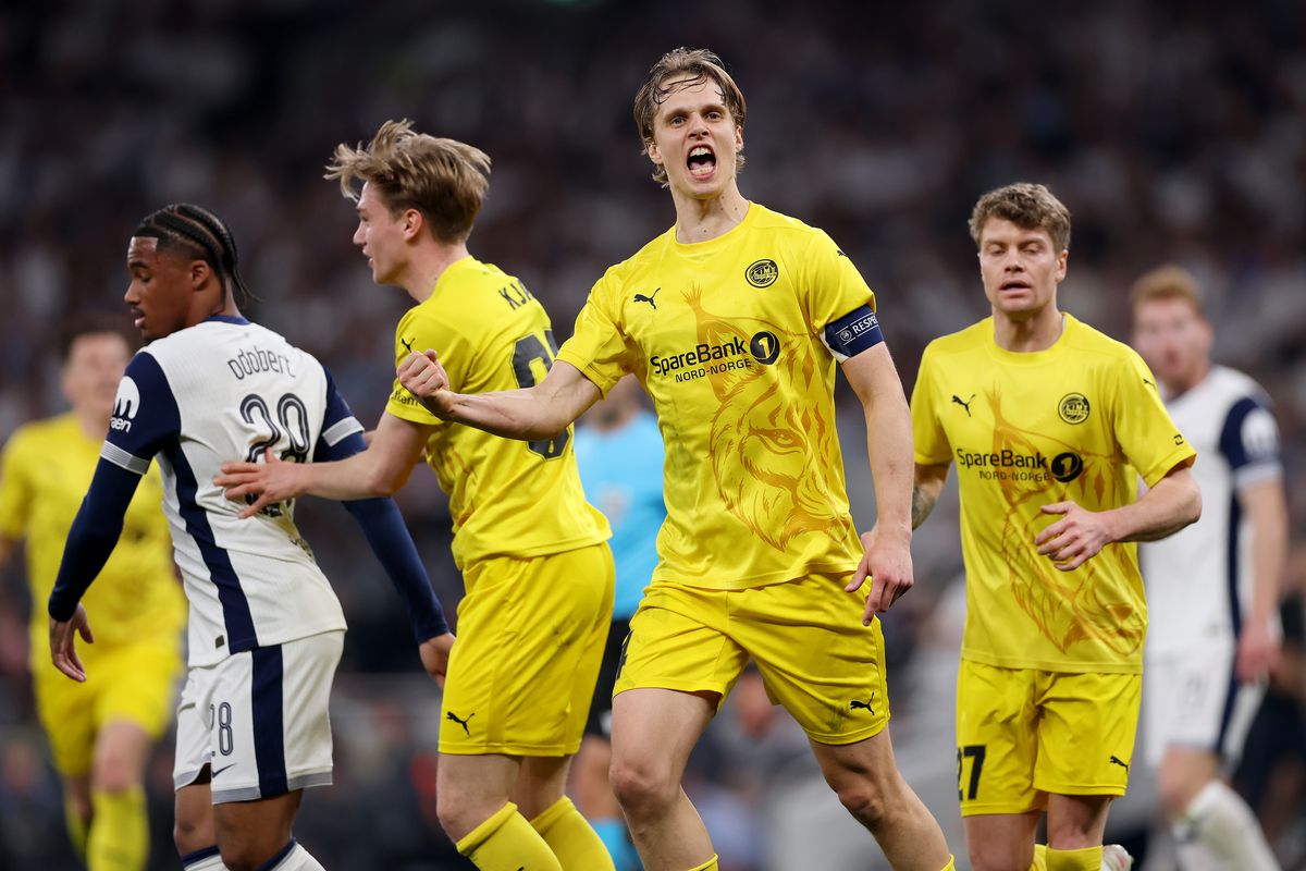 Bodo Tottenham 2