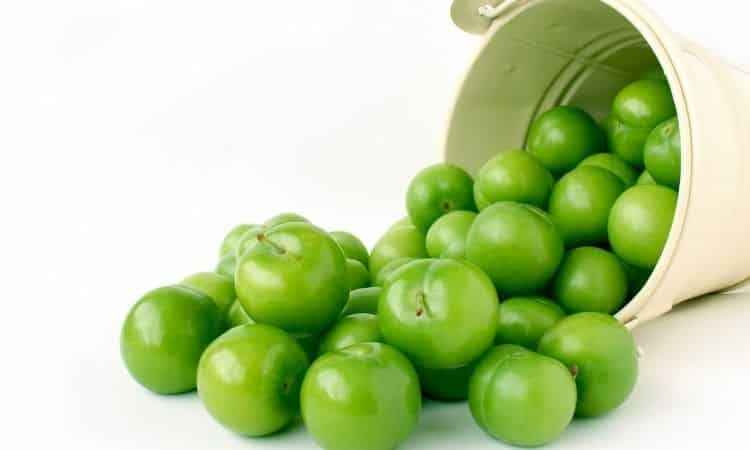 Canerik