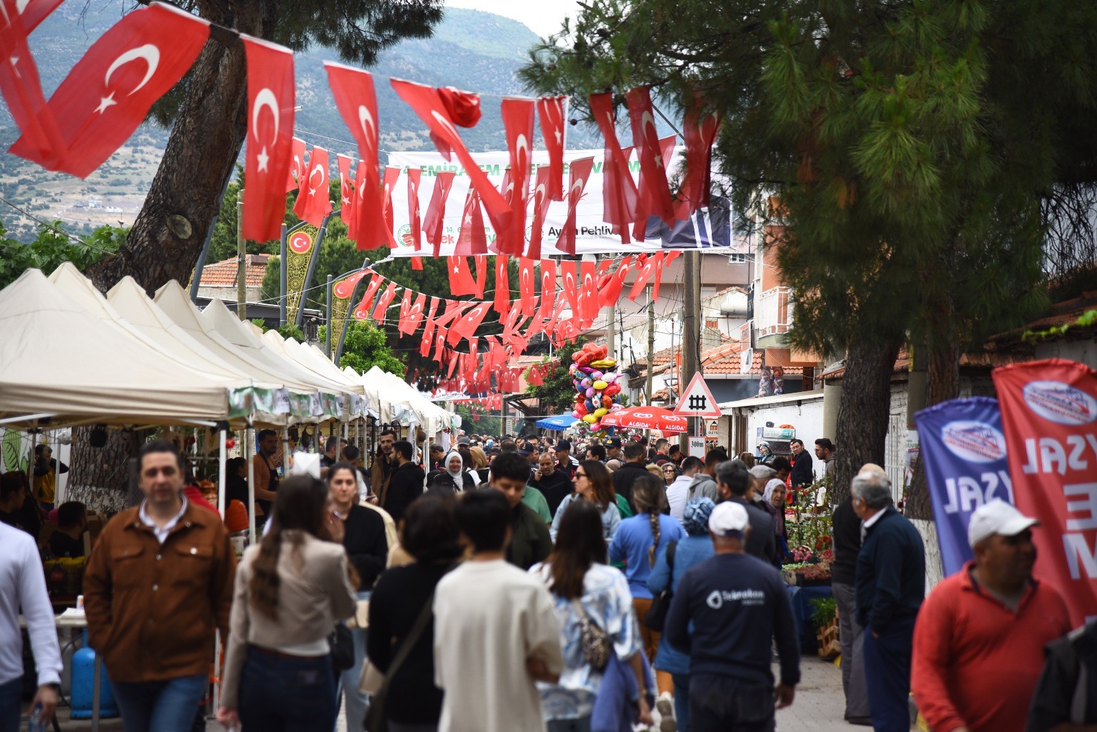 Çilek Fest (2)