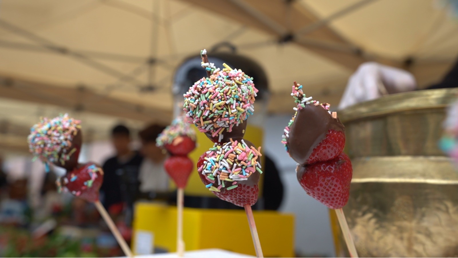 Çilek Fest (3)