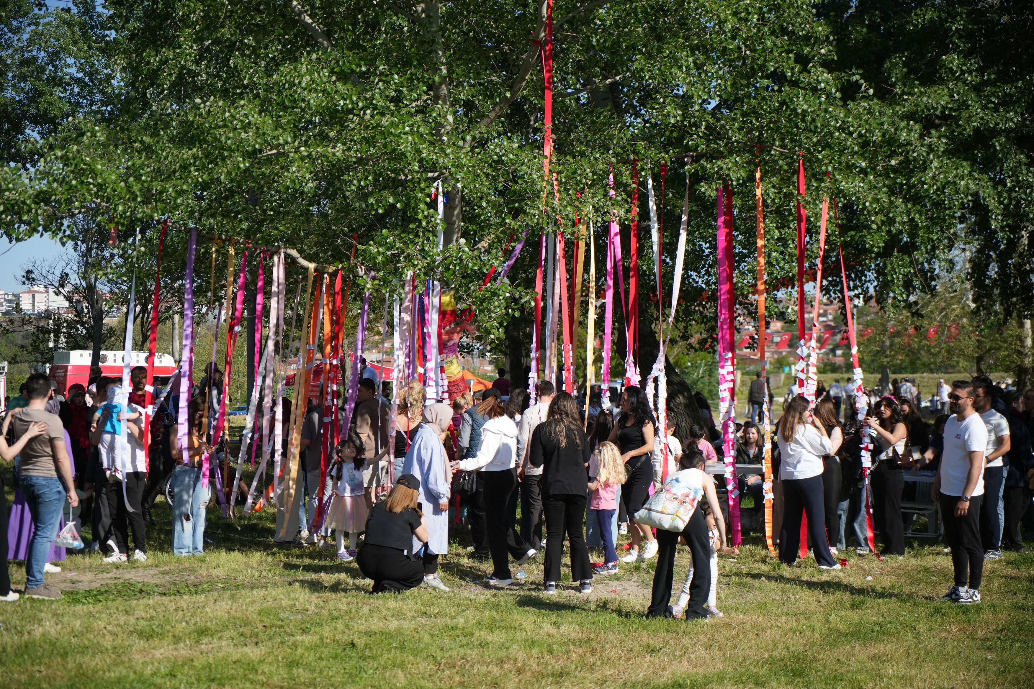 Edirne (5)-1