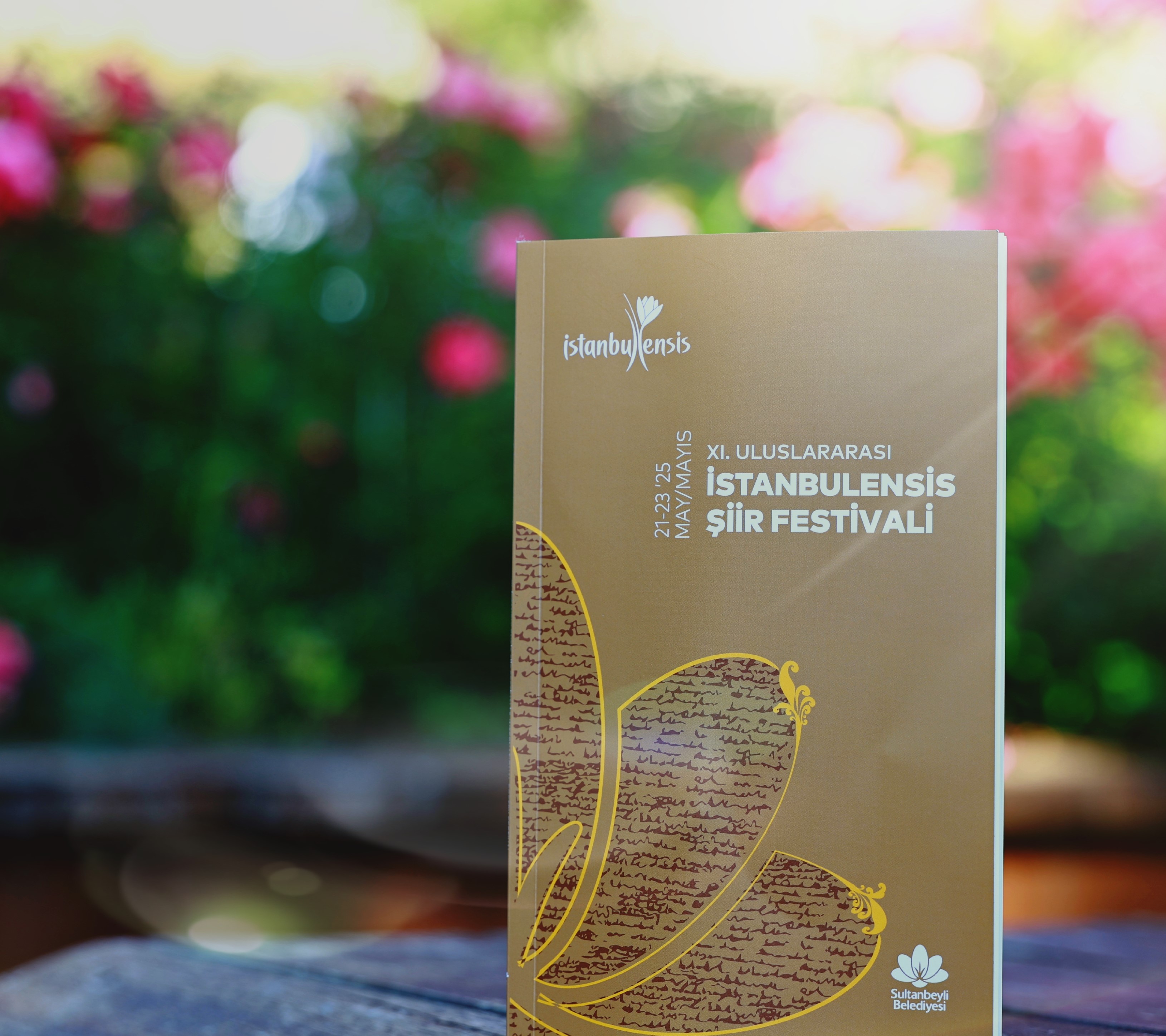 Istanbulensis (3)