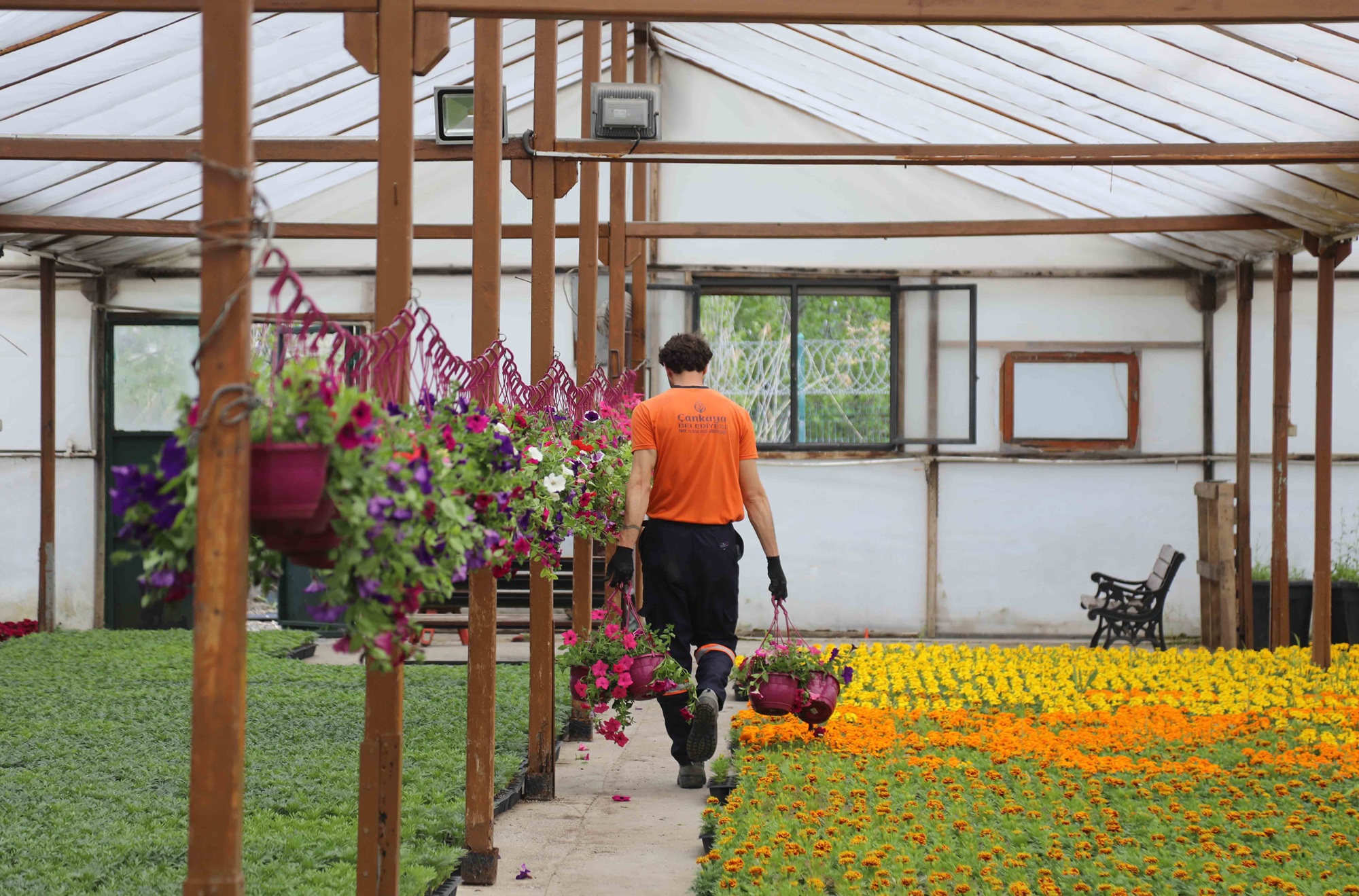 Park Bahçeler Çansera Yazlık Çiçek Dikimi (9)