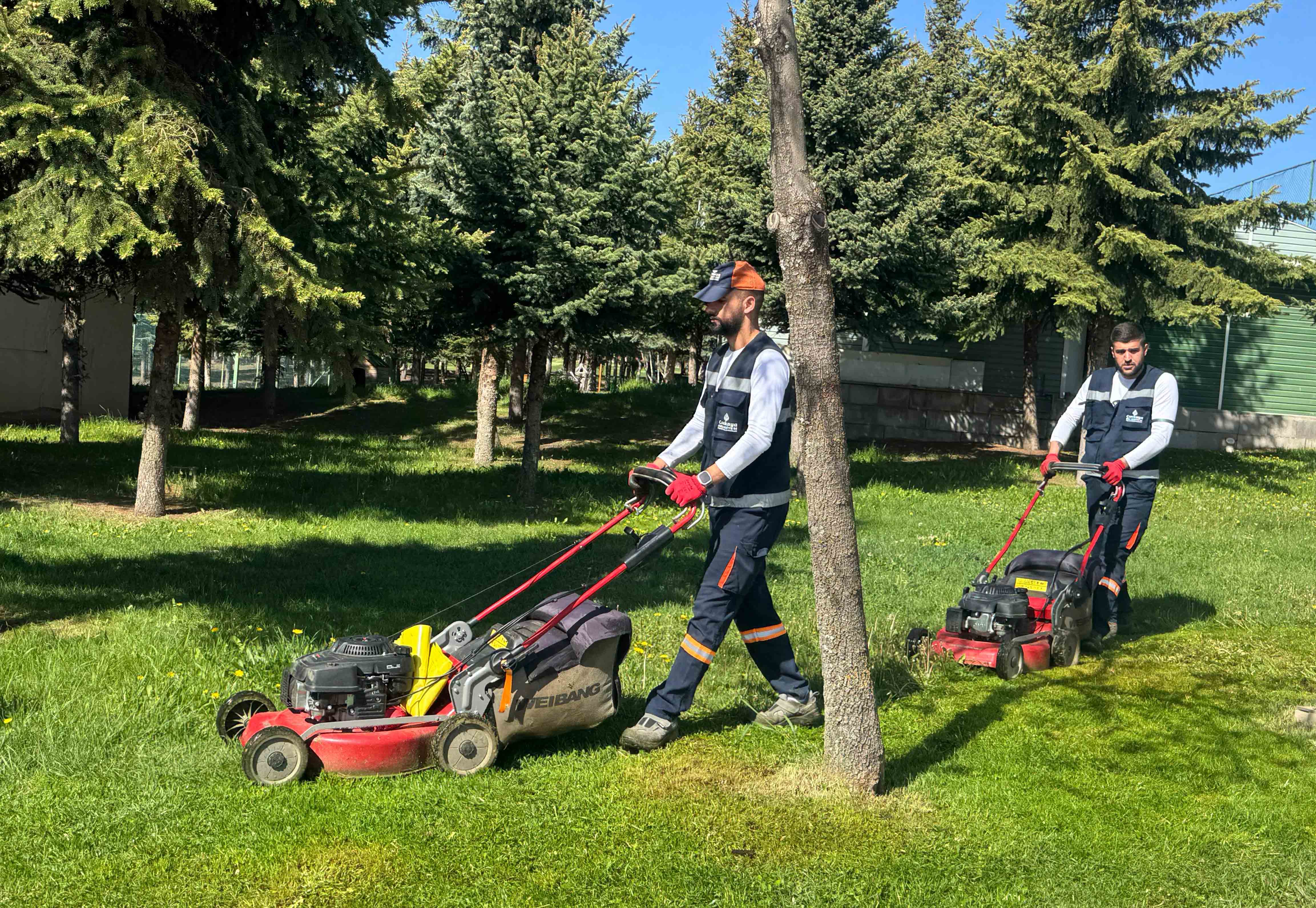 Park Bahçeler Muharrem Dalkılıç Parkı Çim Biçme (5)