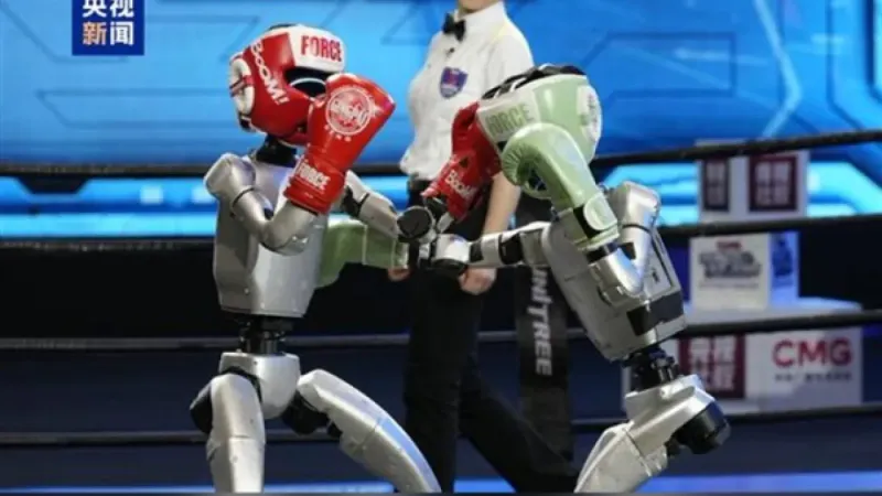 Robot Dövüş Turnuvası (2)